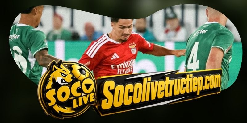 Benfica phải tăng độ chính xác trong vùng cấm Da Luz