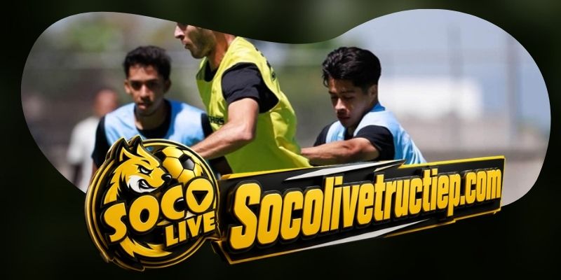 Gợi ý chốt kèo tổng hợp trận Queretaro FC vs Tigres UANL ngày 02/08
